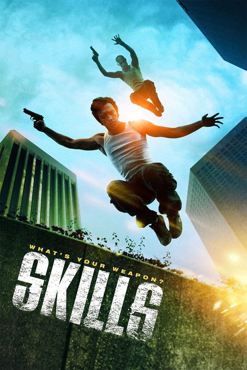 Skills (2010) poster