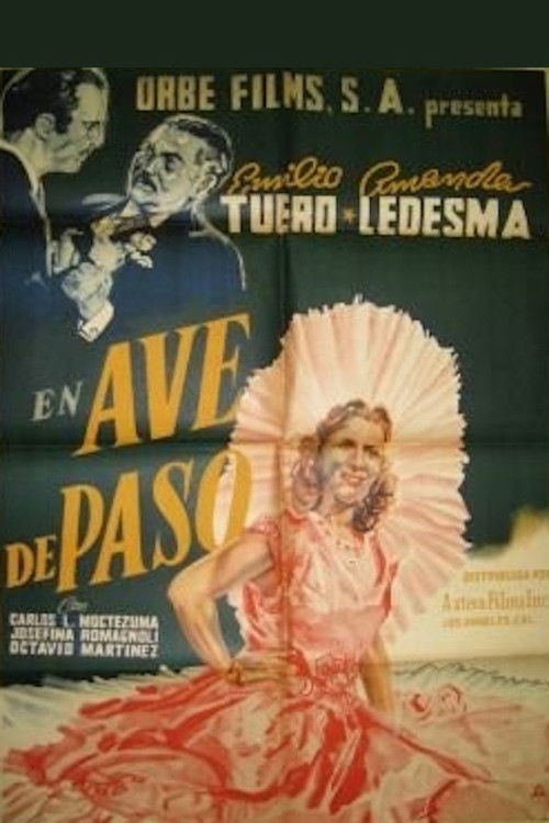 Ave de paso (1948) poster
