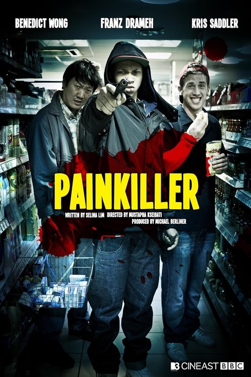 Painkiller (2011) poster
