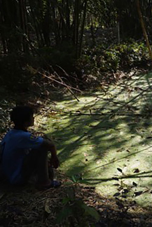 The Asylum (2015) poster