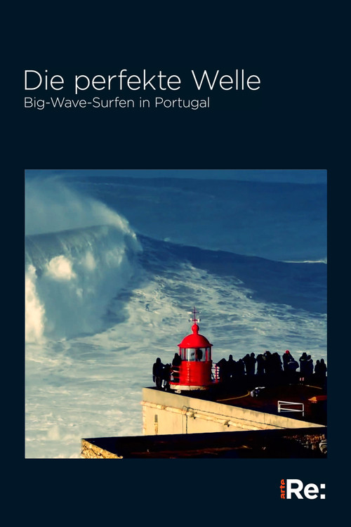 The Perfect Wave: Big Wave Surfing in Portugal (2018) poster