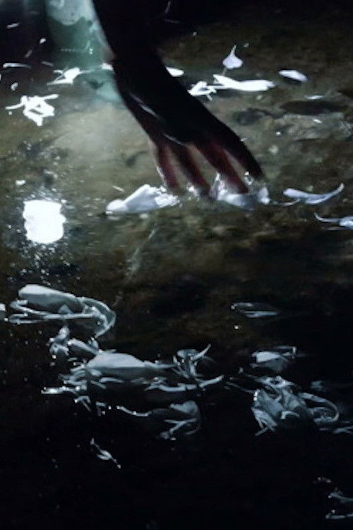 Brigid of Murroe (2014) poster