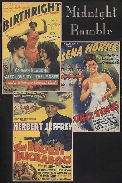 Midnight Ramble (1994) poster