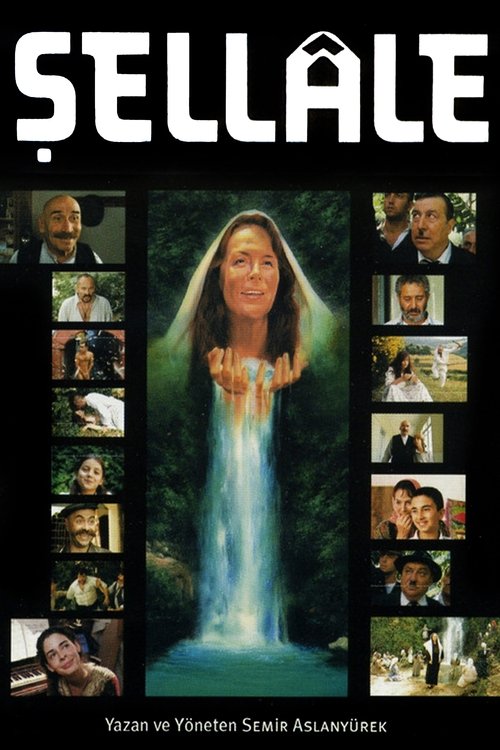 The Waterfall (2001) poster