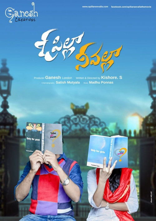 O Pilla Nee Valla (2017) poster