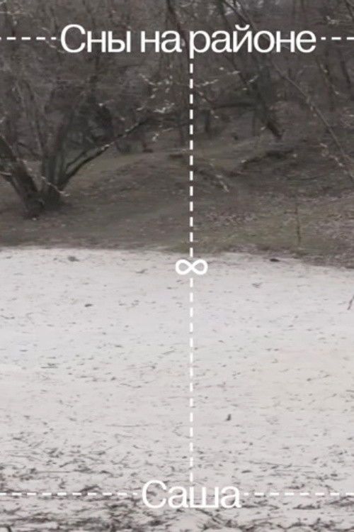 Daydreaming in the Hood (2020) poster