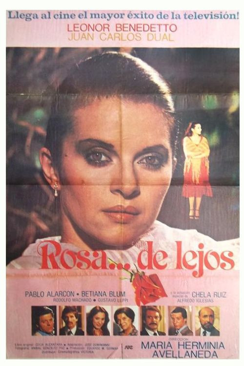 Rosa de lejos (1980) poster