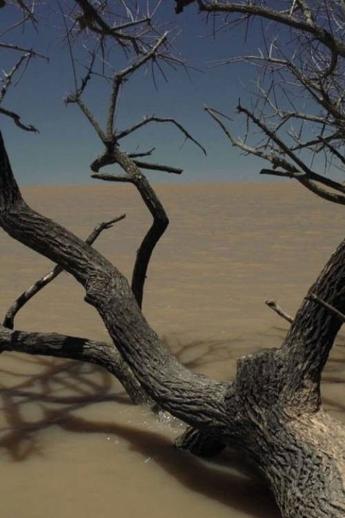 (...) The Same River (2021) poster