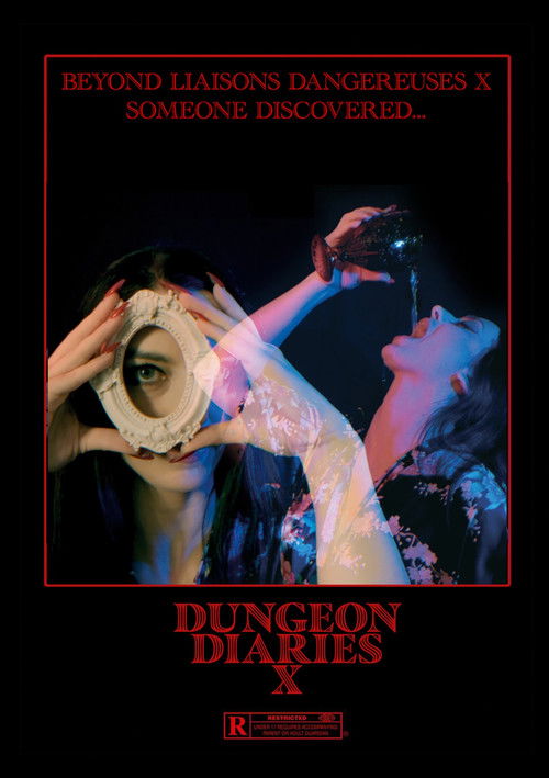 Dungeon Diaries X (2025) poster