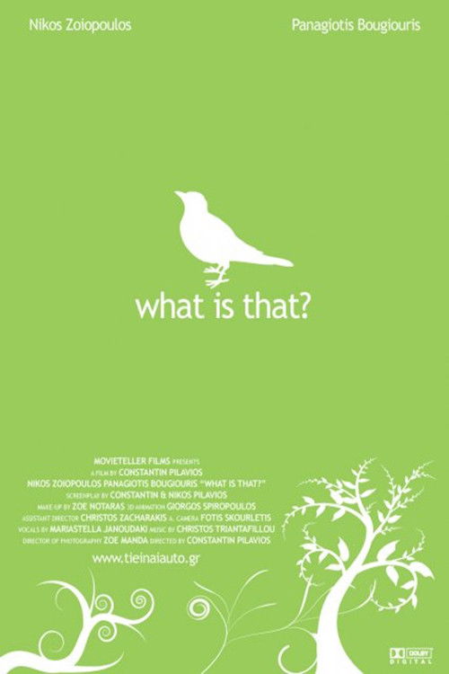 What Is That? (2007) poster