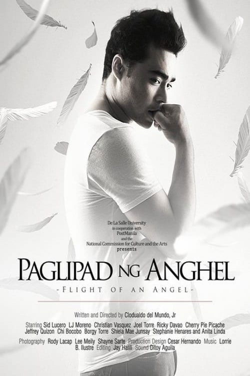 Flight of an Angel (2011) poster