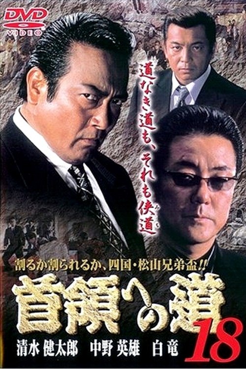 Road to the Don 18 (2001) poster