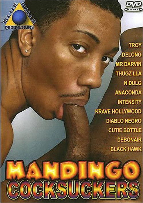Mandingo Cocksuckers (2009) poster