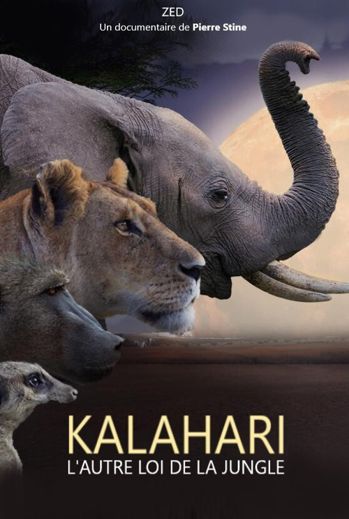 Kalahari, l'autre loi de la jungle (2021) poster