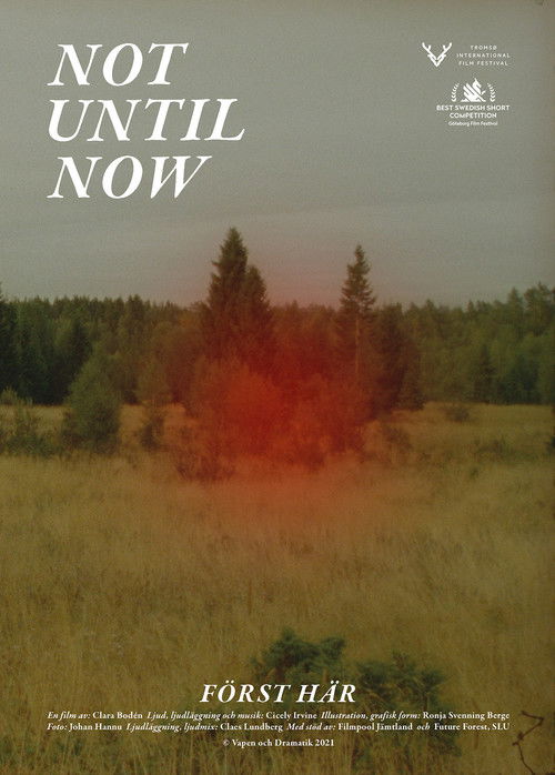 Not Until Now (2021) poster