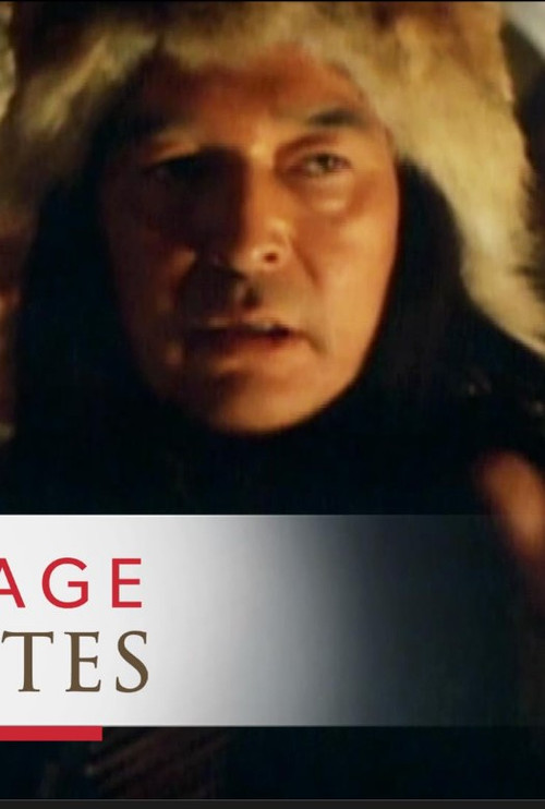 Heritage Minutes: Sitting Bull (1995) poster