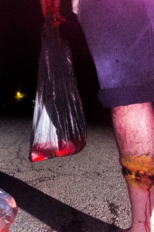 The Monster (2024) poster