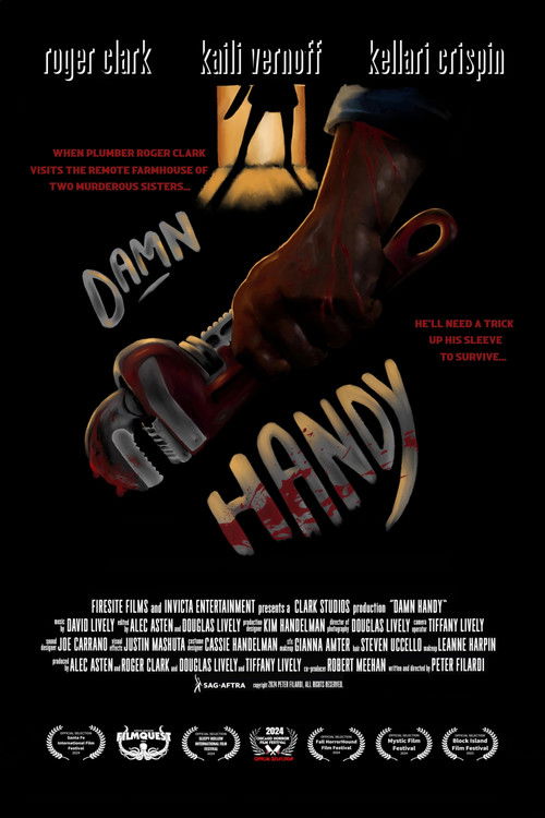 Damn Handy (2025) poster