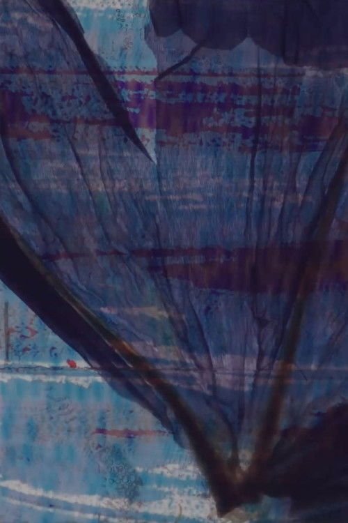 Colours & flowers for scratches (2023) poster