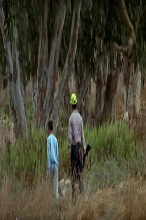 Children of Jerusalem: Ibrahim (1996) poster
