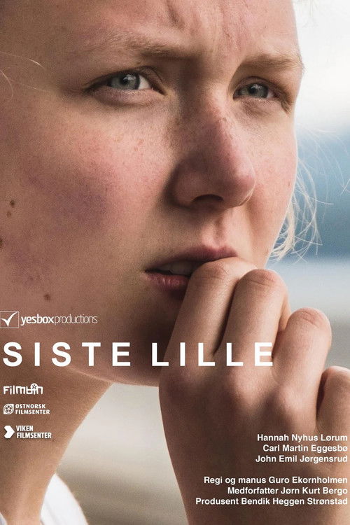 Siste lille (2017) poster