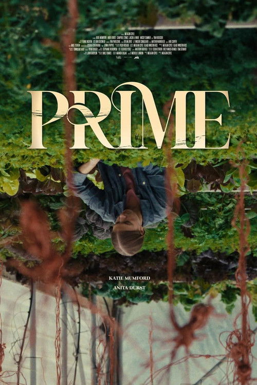 Prime (2025) poster