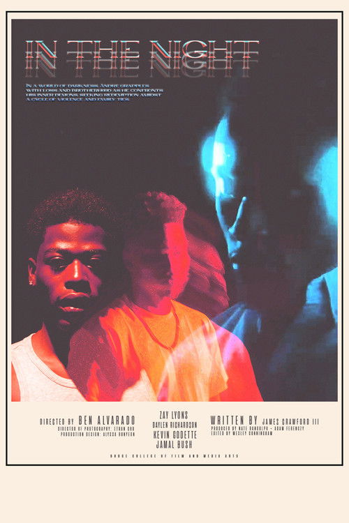 In The Night (2024) poster