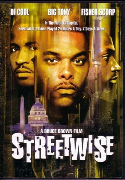 Streetwise (1998) poster