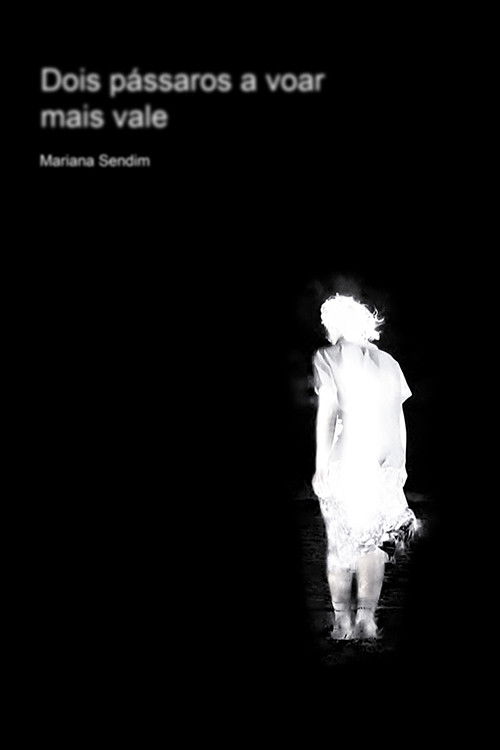 Dois pássaros a voar, mais vale poster