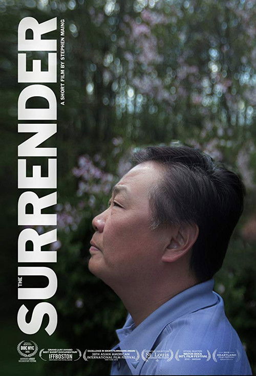 The Surrender (2015) poster