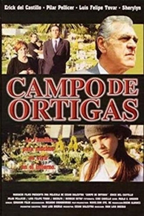 Ortiga's Field (1998) poster