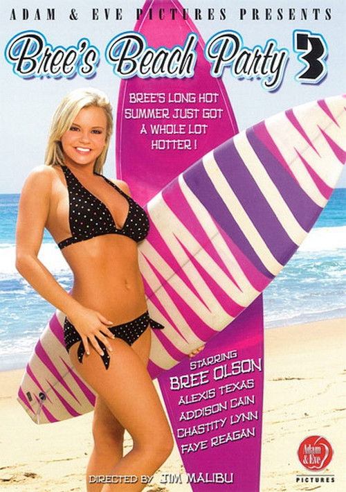 Bree's Beach Party 3 (2010) poster