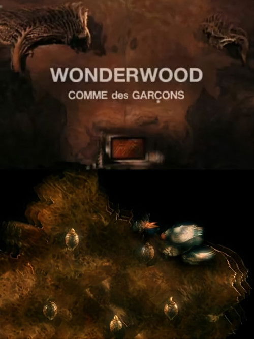 Wonderwood: Comme des garçons (2010) poster