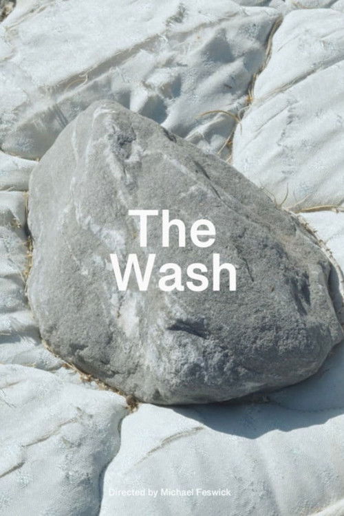 The Wash (2025) poster