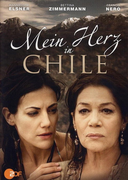 Mein Herz in Chile (2008) poster