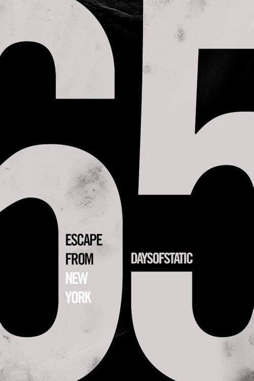 65DOC: A Road Movie (2009) poster