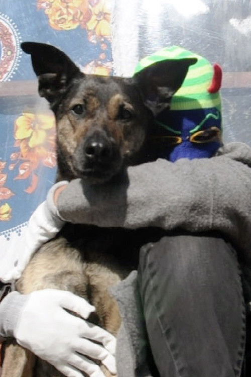 Supreme Presence (2016) poster