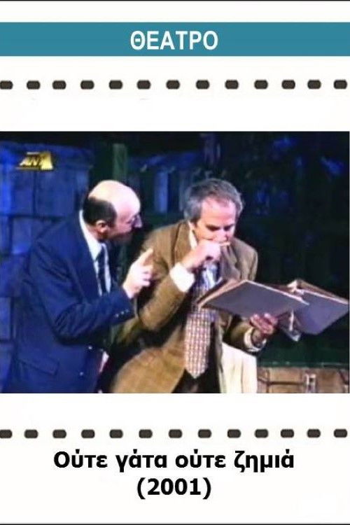 Ούτε γάτα ούτε ζημιά (2001) poster