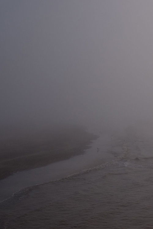 Niebla (2017) poster