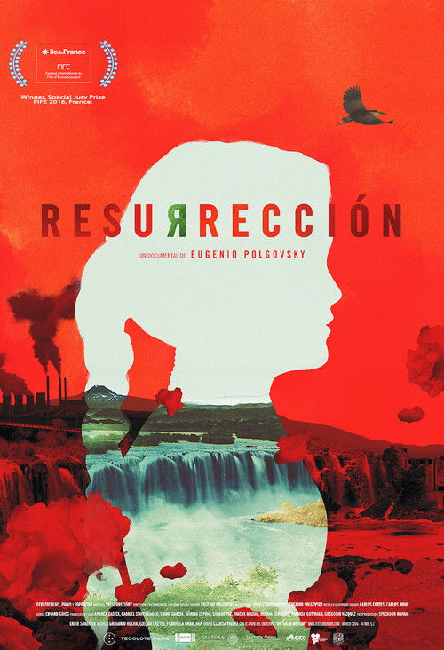 Resurrection (2016) poster