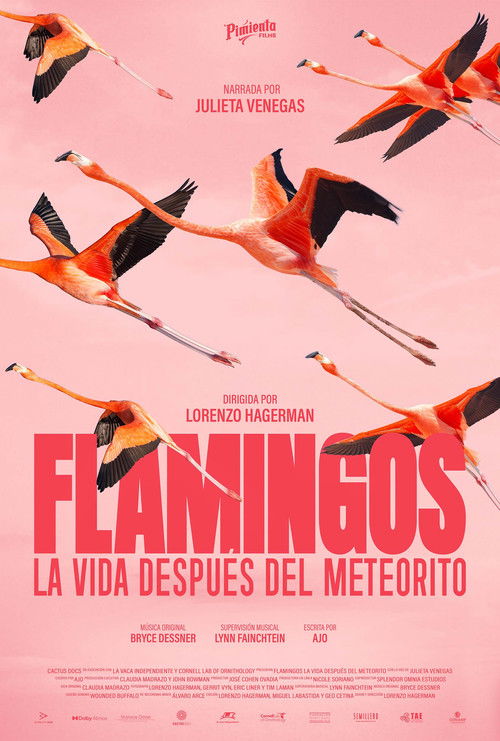 Flamingos: La vida después del meteorito (2026) poster