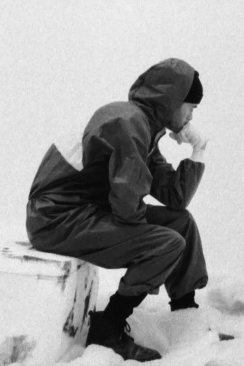 Fabricated in the Actual Arctic (After Nanook) (2018) poster