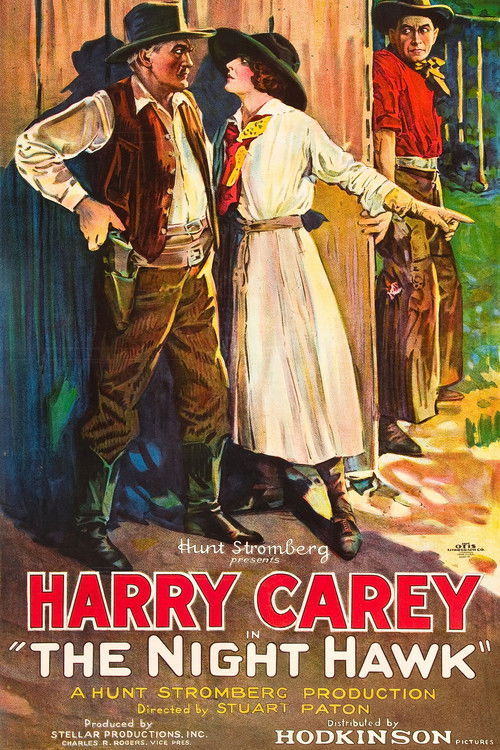 The Night Hawk (1924) poster