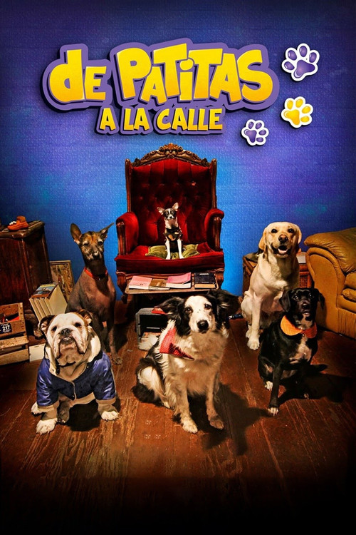 De patitas a la calle (2020) poster