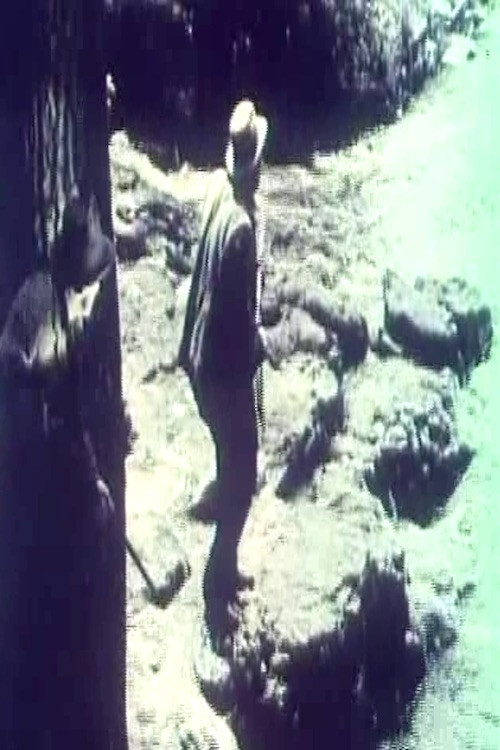 The Cub (1915) poster