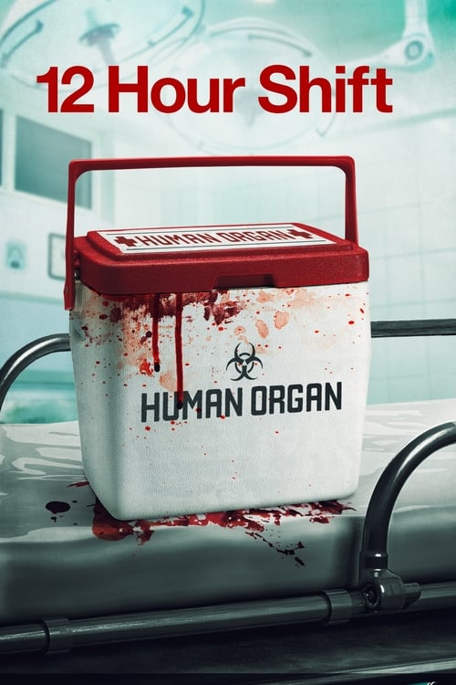 12 Hour Shift (2020) poster