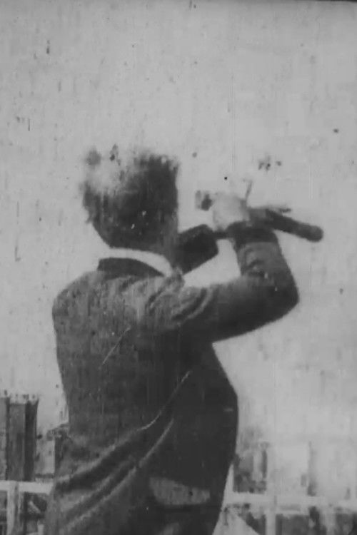 Scenes From My Balcony (1901) poster