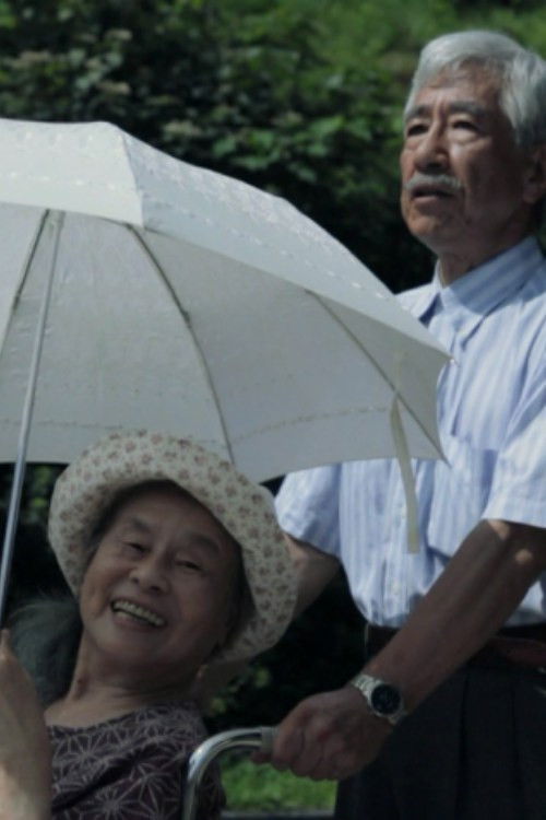 Last Wedding Dress (2014) poster