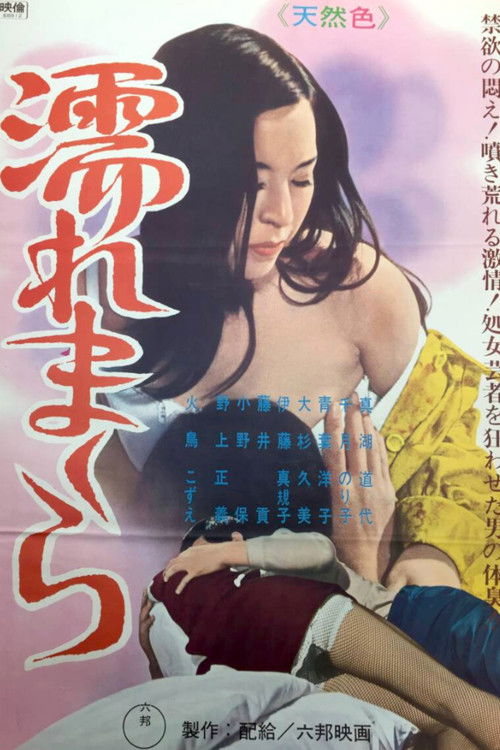 The Secret Story of the Onsen Geisha: Wet Pillow (1969) poster