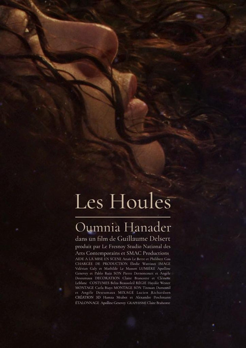 Les Houles (2023) poster